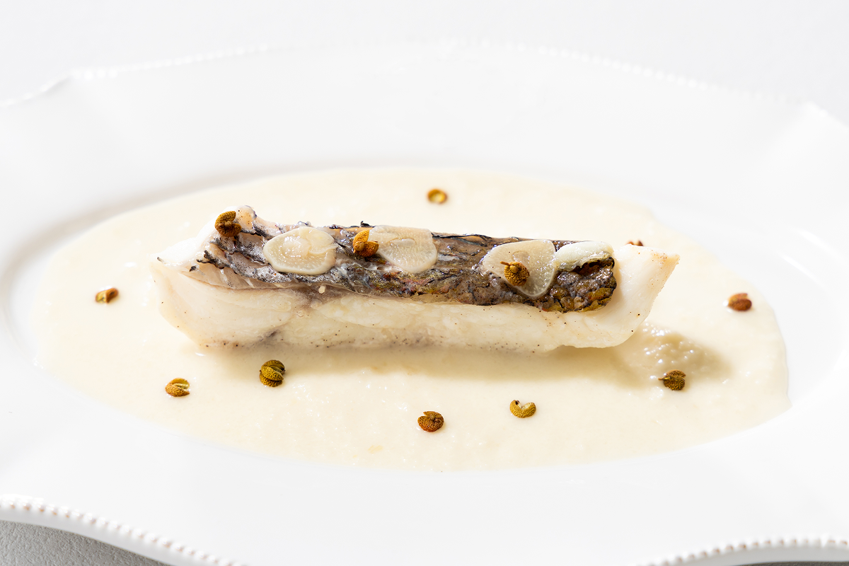 長崎県産 真鯛のロースト クリームソース 山椒添え