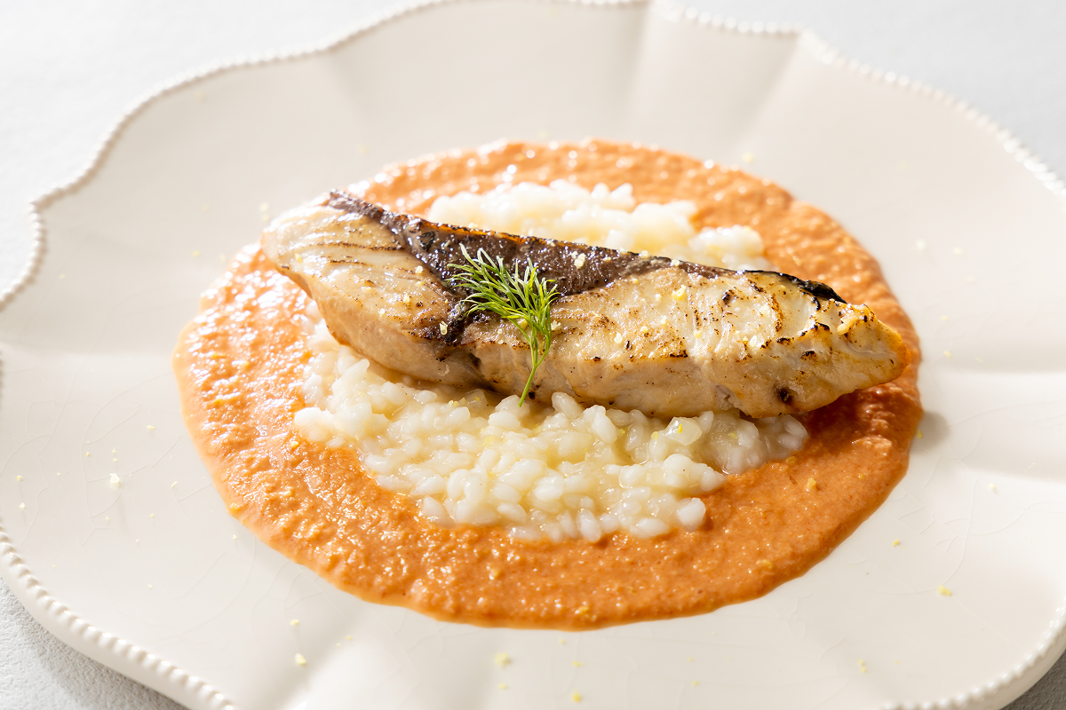 大分県産 津久見ぶりのソテー トマトソースリゾット